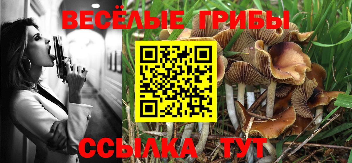 Галлюциногенные грибы мицелий Шарыпово